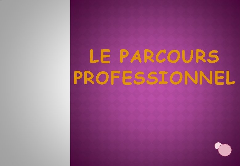 LE PARCOURS PROFESSIONNEL 