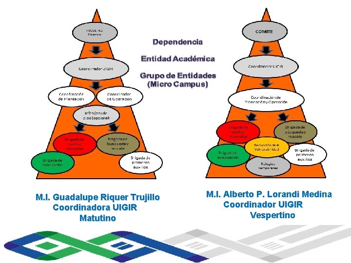 Universidad Veracruzana M. I. Guadalupe Riquer Trujillo Coordinadora UIGIR Matutino Instituto de Ingeniería M.