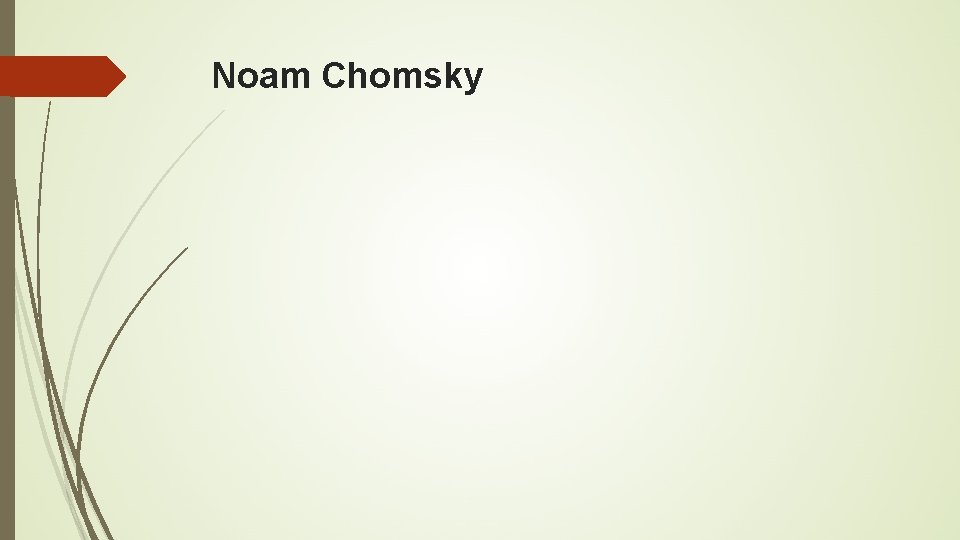 Noam Chomsky 