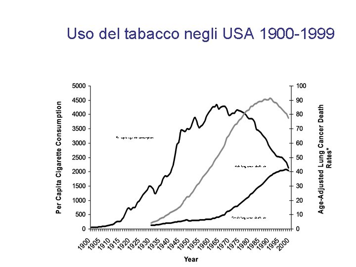 Uso del tabacco negli USA 1900 -1999 Per capita cigarette consumption Male lung cancer