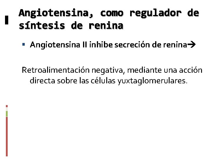 Angiotensina, como regulador de síntesis de renina Angiotensina II inhibe secreción de renina Retroalimentación