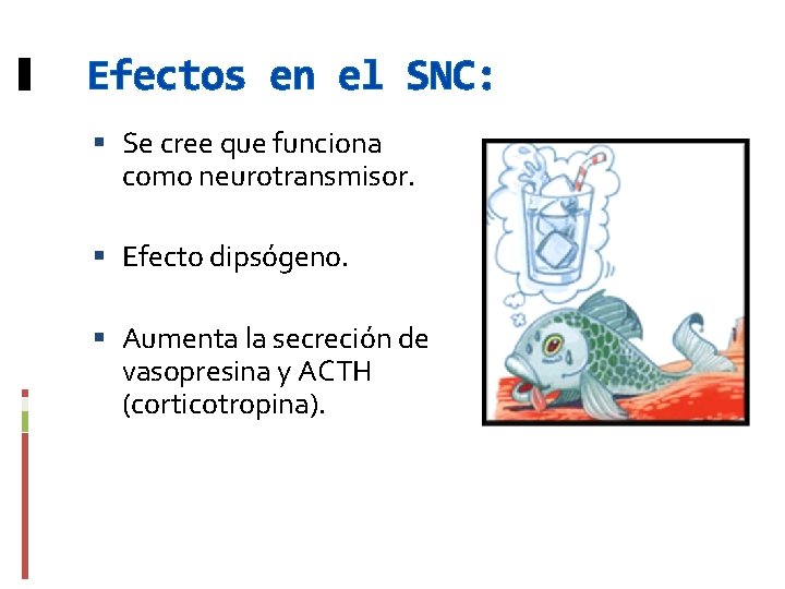 Efectos en el SNC: Se cree que funciona como neurotransmisor. Efecto dipsógeno. Aumenta la