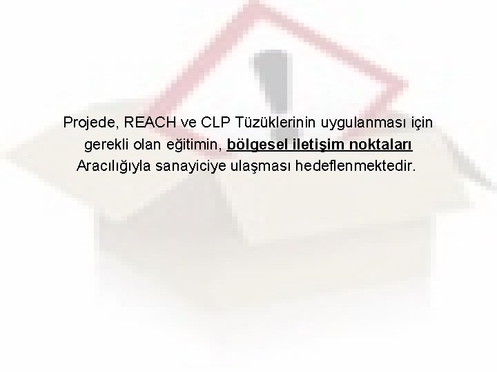 Projede, REACH ve CLP Tüzüklerinin uygulanması için gerekli olan eğitimin, bölgesel iletişim noktaları Aracılığıyla