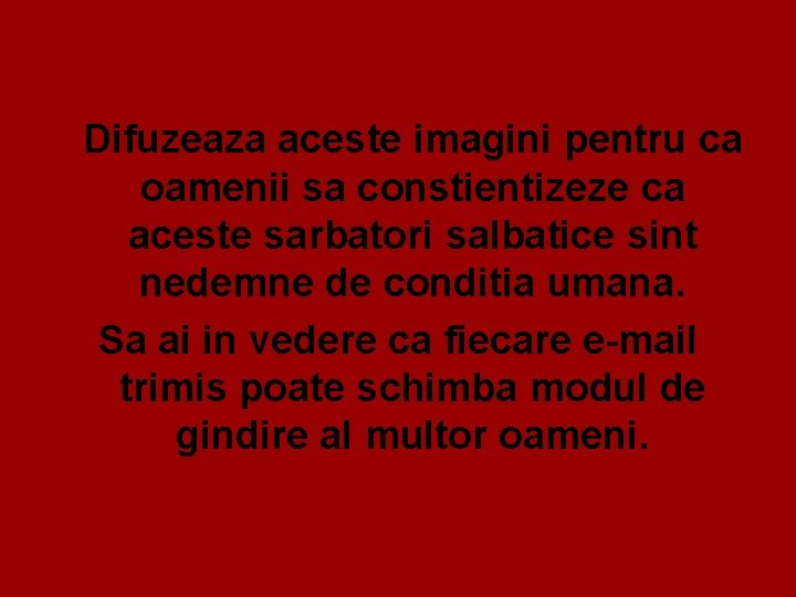 Difuzeaza aceste imagini pentru ca oamenii sa constientizeze ca aceste sarbatori salbatice sint nedemne