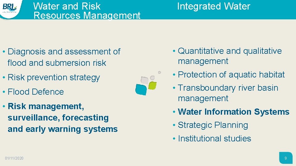 Water and Risk Integrated Water Resources Management • Diagnosis and assessment of flood and Water and Risk Integrated Water Resources Management • Diagnosis and assessment of flood and