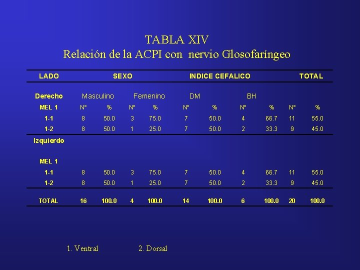 TABLA XIV Relación de la ACPI con nervio Glosofaríngeo LADO Derecho SEXO Masculino INDICE