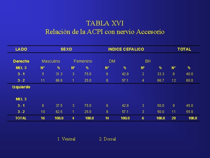 TABLA XVI Relación de la ACPI con nervio Accesorio LADO Derecho SEXO Masculino INDICE