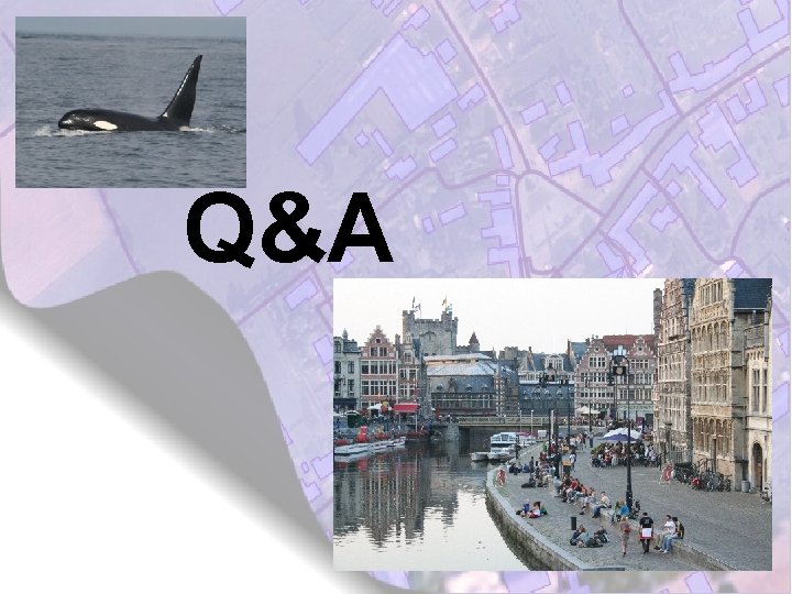 Q&A 