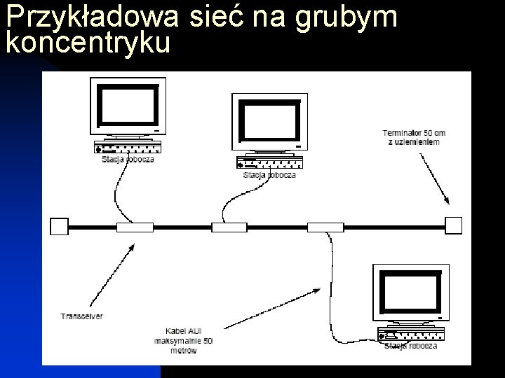 Przykładowa sieć na grubym koncentryku 