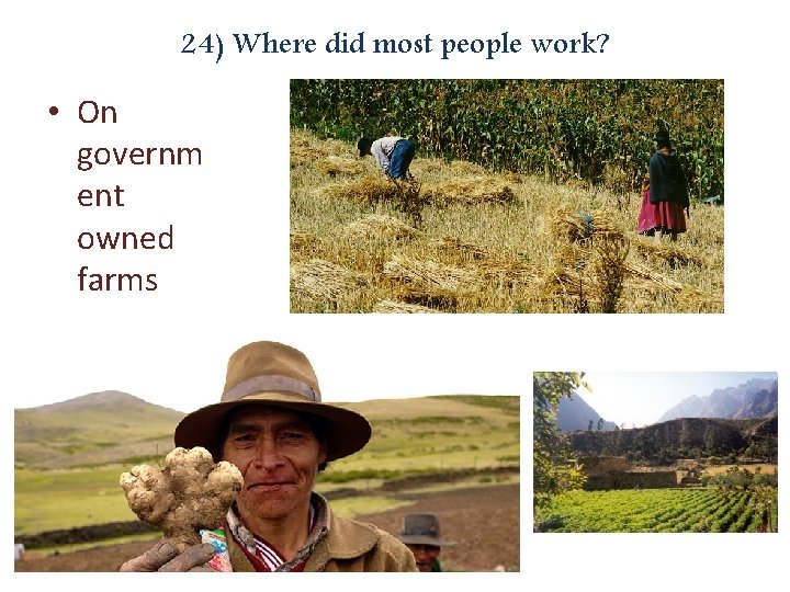 24) Where did most people work? • On governm ent owned farms 