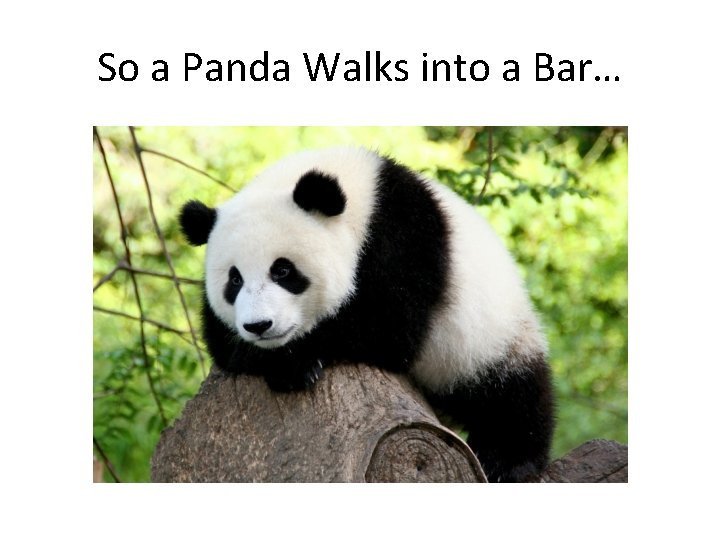 So a Panda Walks into a Bar… So a Panda Walks into a Bar…