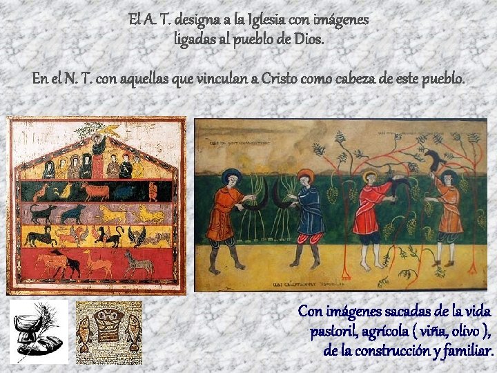 El A. T. designa a la Iglesia con imágenes ligadas al pueblo de Dios.
