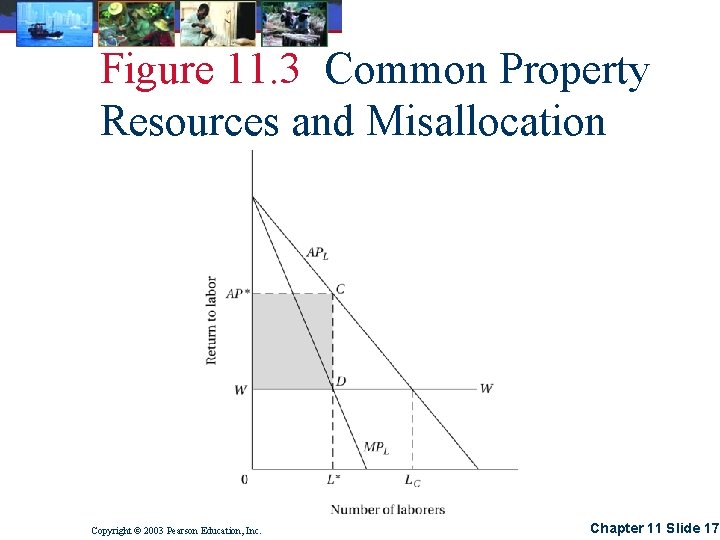 Figure 11. 3 Common Property Resources and Misallocation Copyright © 2003 Pearson Education, Inc.