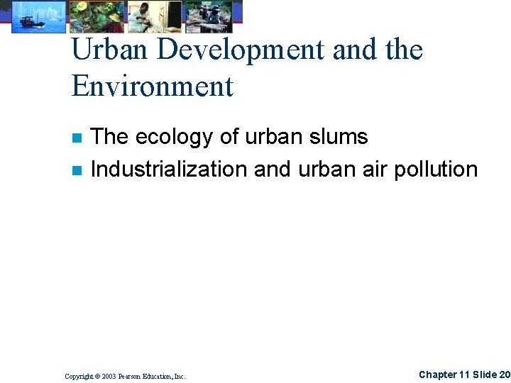 Urban Development and the Environment n n The ecology of urban slums Industrialization and