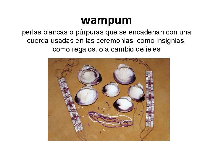 wampum perlas blancas o púrpuras que se encadenan con una cuerda usadas en las