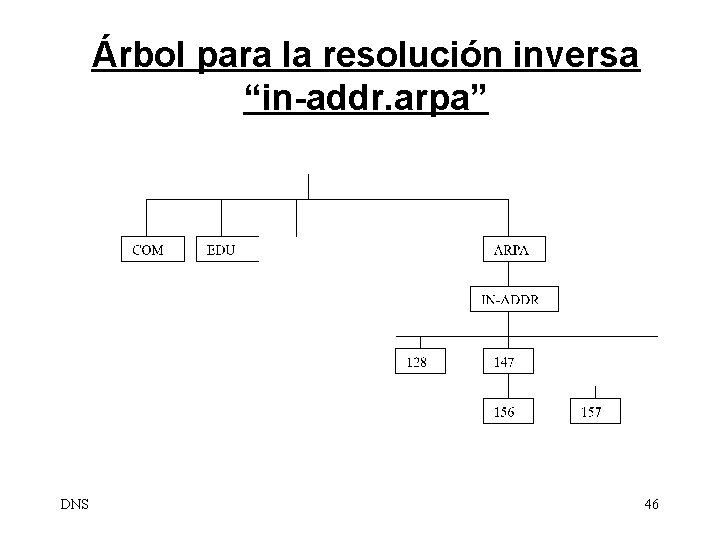 Árbol para la resolución inversa “in-addr. arpa” DNS 46 
