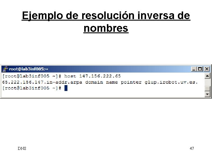 Ejemplo de resolución inversa de nombres DNS 47 