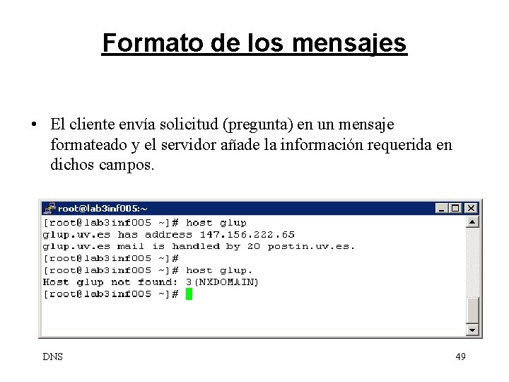 Formato de los mensajes • El cliente envía solicitud (pregunta) en un mensaje formateado