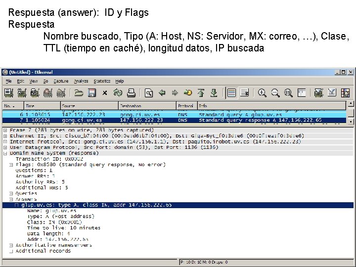 Respuesta (answer): ID y Flags Respuesta Nombre buscado, Tipo (A: Host, NS: Servidor, MX: