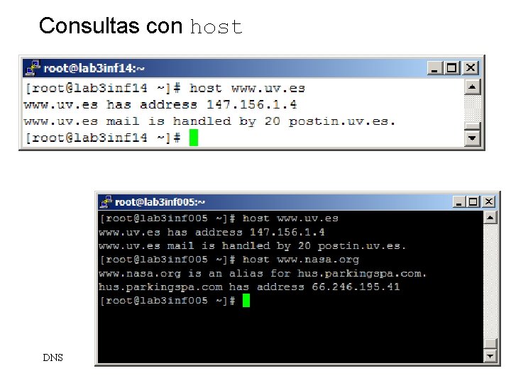 Consultas con host DNS 56 