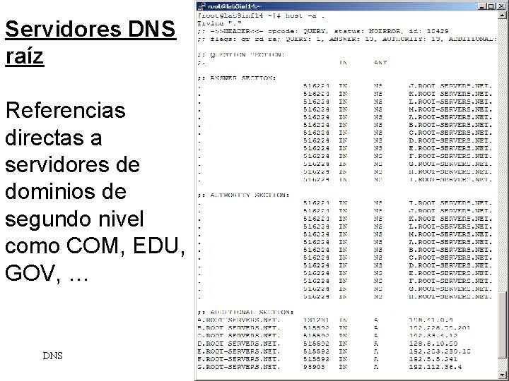 Servidores DNS raíz Referencias directas a servidores de dominios de segundo nivel como COM,