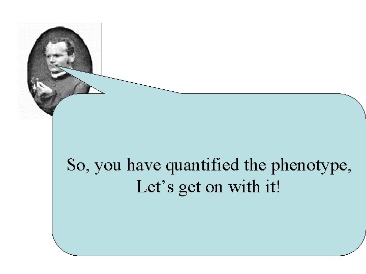 So, you have quantified the phenotype, Let’s get on with it! 