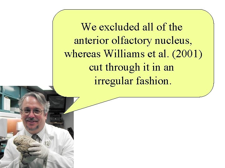 We excluded all of the anterior olfactory nucleus, whereas Williams et al. (2001) cut