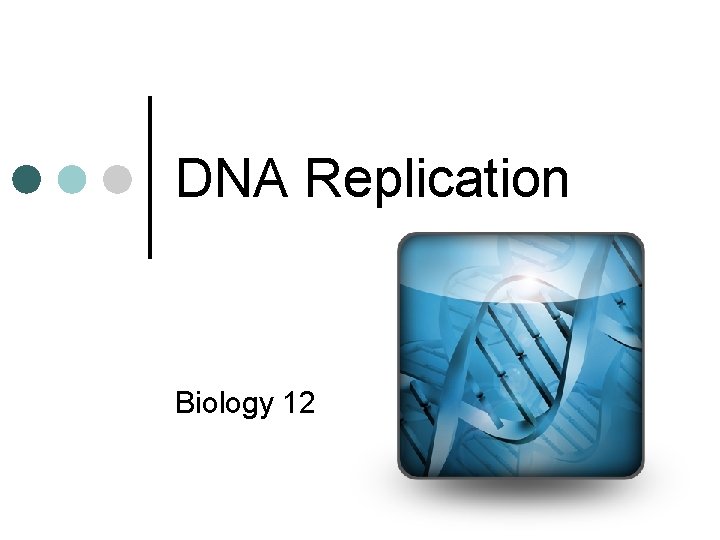 DNA Replication Biology 12 