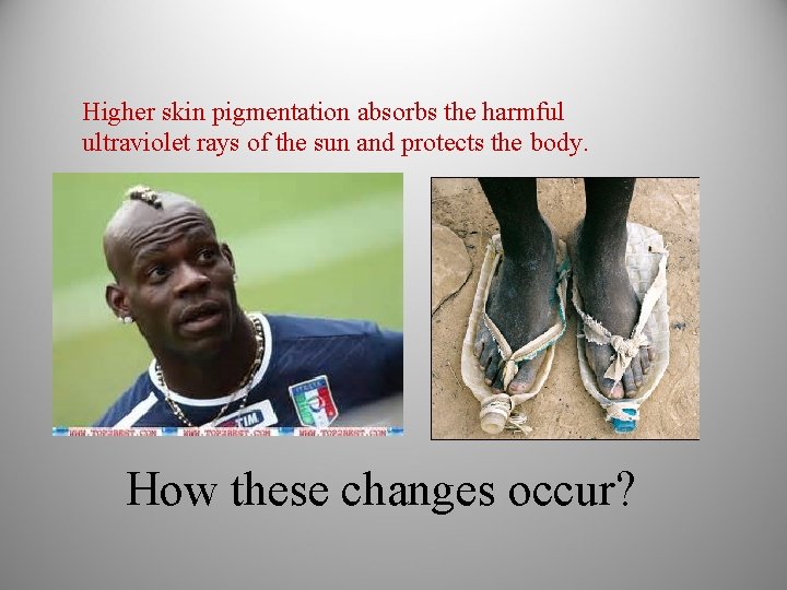 Higher skin pigmentation absorbs the harmful ultraviolet rays of the sun and protects the