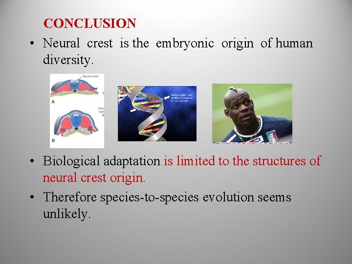 CONCLUSION • Neural crest is the embryonic origin of human diversity. • Biological adaptation