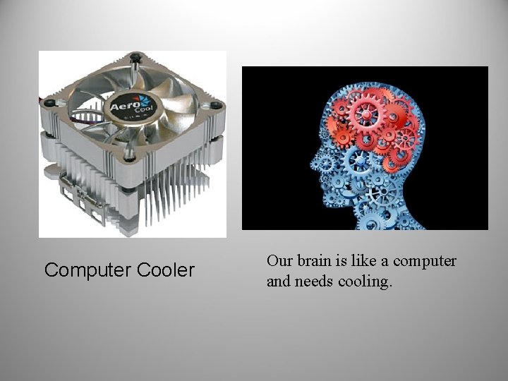 Computer Cooler Our brain is like a computer and needs cooling. 