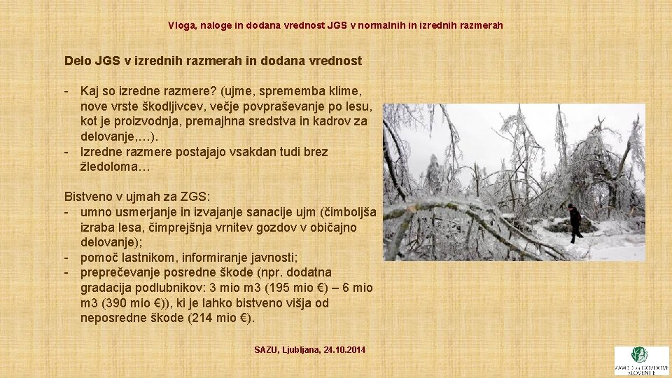 Vloga, naloge in dodana vrednost JGS v normalnih in izrednih razmerah Delo JGS v