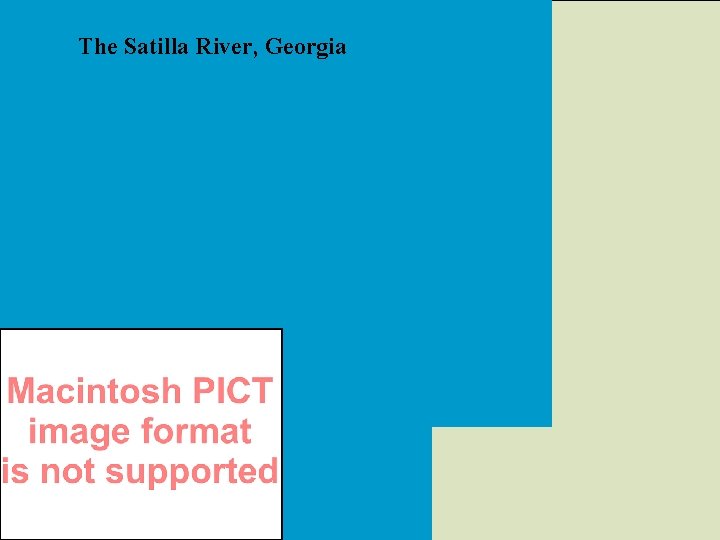 The Satilla River, Georgia 