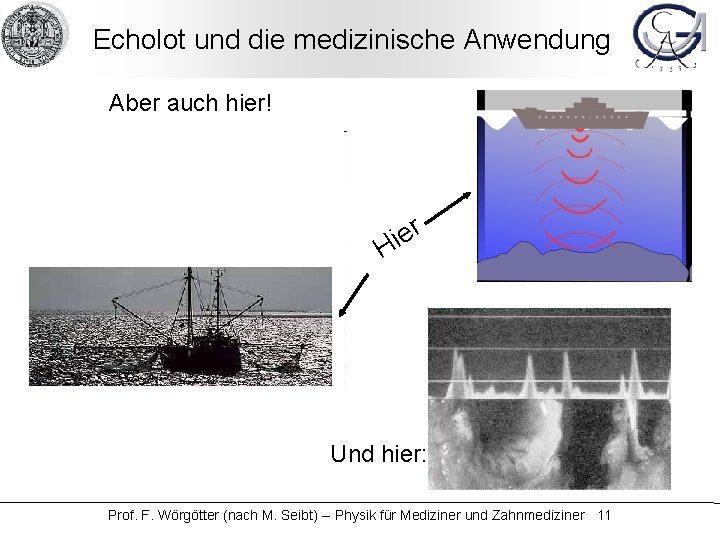 Echolot und die medizinische Anwendung Aber auch hier! er i H Und hier: Prof.