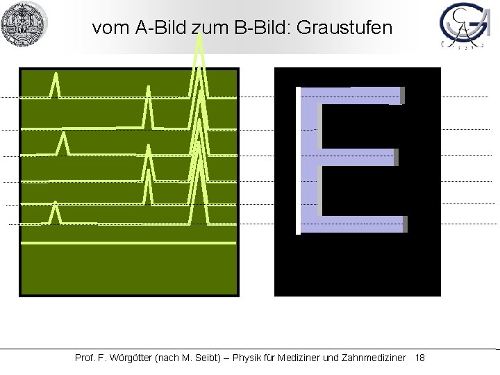 vom A-Bild zum B-Bild: Graustufen Prof. F. Wörgötter (nach M. Seibt) -- Physik für