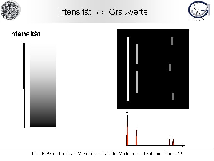 Intensität ↔ Grauwerte Intensität Prof. F. Wörgötter (nach M. Seibt) -- Physik für Mediziner