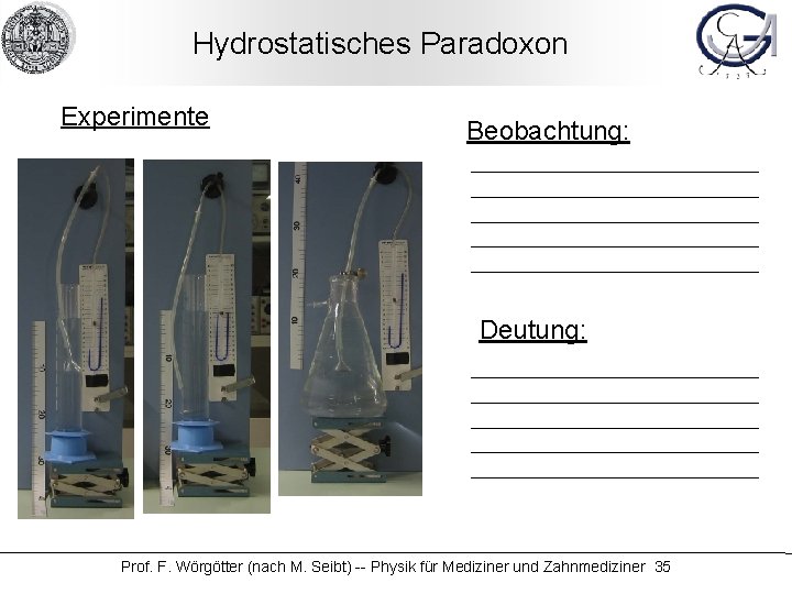 Hydrostatisches Paradoxon Experimente Beobachtung: Deutung: Prof. F. Wörgötter (nach M. Seibt) -- Physik für