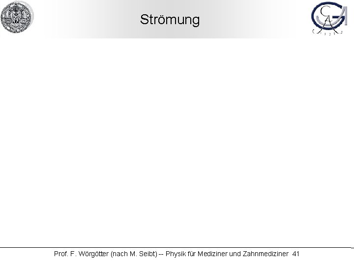 Strömung Prof. F. Wörgötter (nach M. Seibt) -- Physik für Mediziner und Zahnmediziner 41