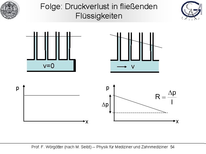 Folge: Druckverlust in fließenden Flüssigkeiten v=0 v p p Dp x Prof. F. Wörgötter