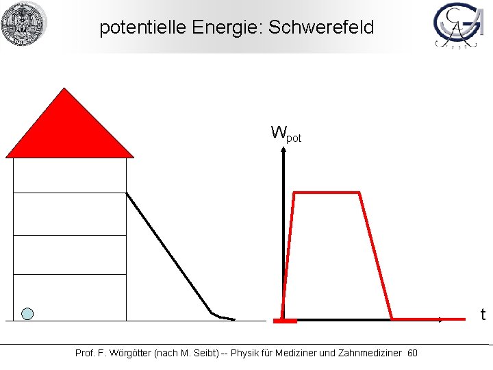 potentielle Energie: Schwerefeld Wpot t Prof. F. Wörgötter (nach M. Seibt) -- Physik für