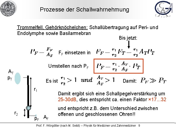 Prozesse der Schallwahrnehmung Trommelfell, Gehörknöchelchen: Schallübertragung auf Peri- und Endolymphe sowie Basilarmebran Bis jetzt: