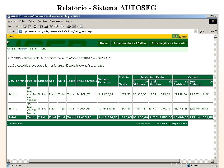 Relatório - Sistema AUTOSEG 