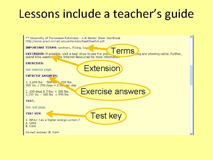 Lessons include a teacher’s guide Terms Extension Exercise answers Test key 