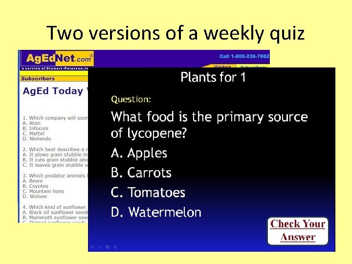 Two versions of a weekly quiz 