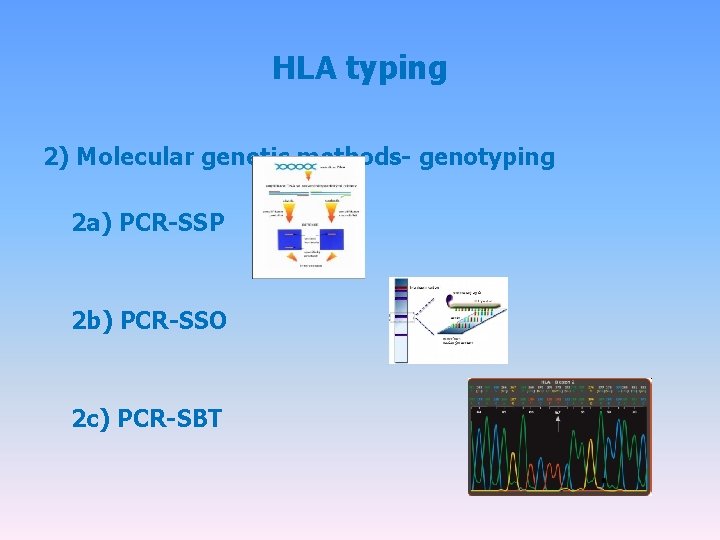 HLA typing 2) Molecular genetic methods- genotyping 2 a) PCR-SSP 2 b) PCR-SSO 2