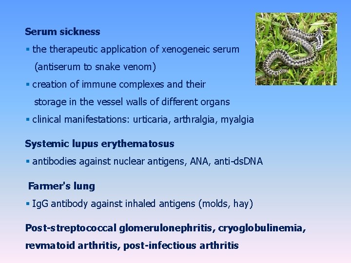 Serum sickness § therapeutic application of xenogeneic serum (antiserum to snake venom) § creation