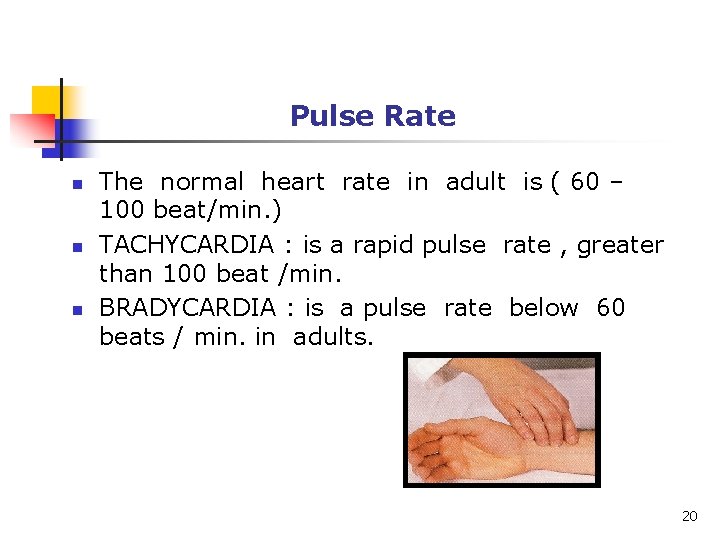 Pulse Rate n n n The normal heart rate in adult is ( 60
