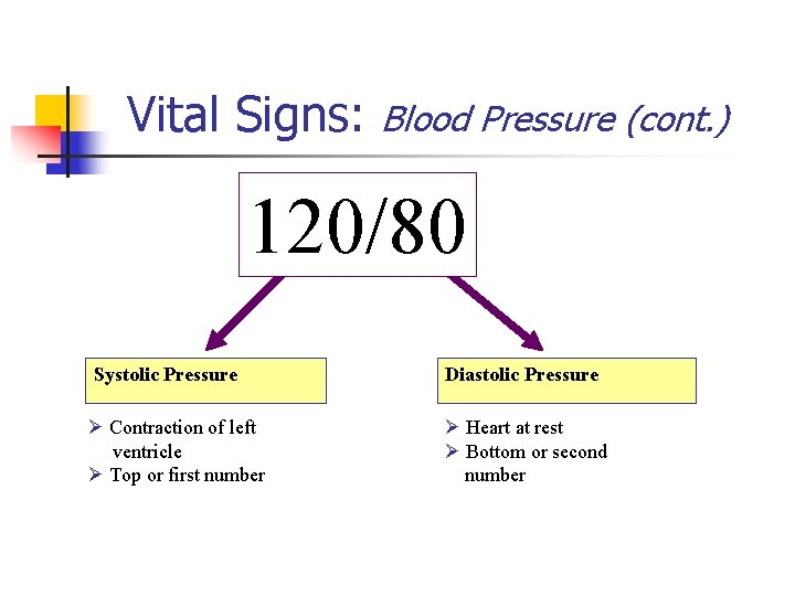 Vital Signs: Blood Pressure (cont. ) 120/80 Systolic Pressure Diastolic Pressure Ø Contraction of