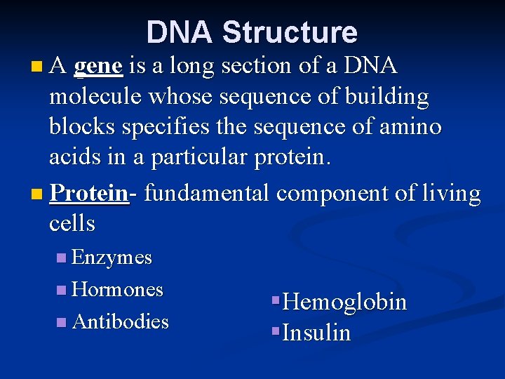 DNA Structure n A gene is a long section of a DNA molecule whose