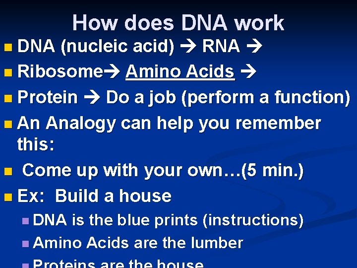 n DNA How does DNA work (nucleic acid) RNA n Ribosome Amino Acids n